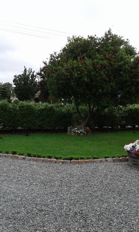 Coeden Cottage Blenheim Eksteriør bilde