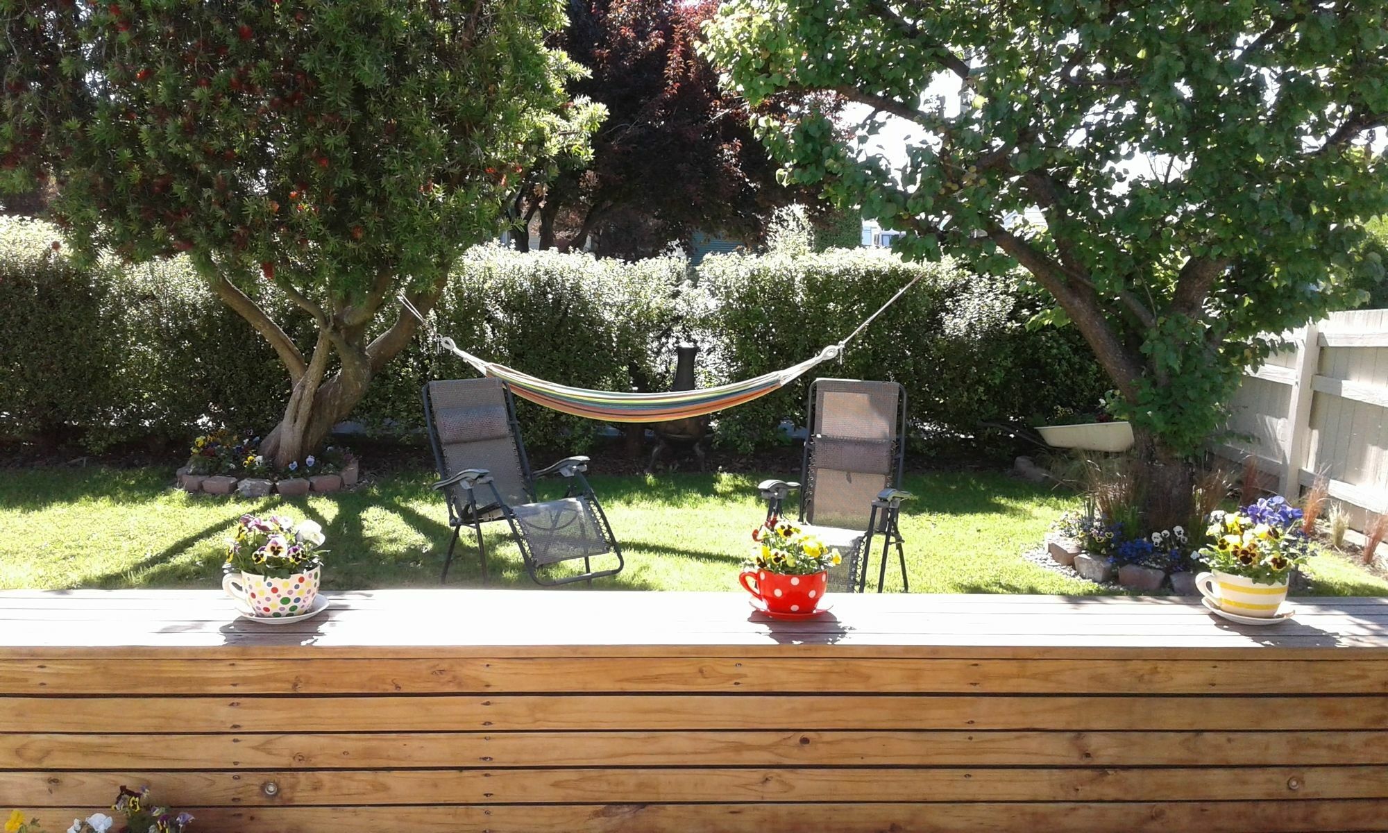 Coeden Cottage Blenheim Eksteriør bilde